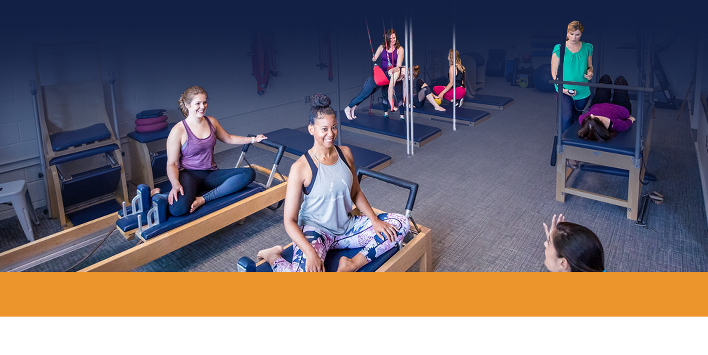 Bridge Body Clinic + Training
